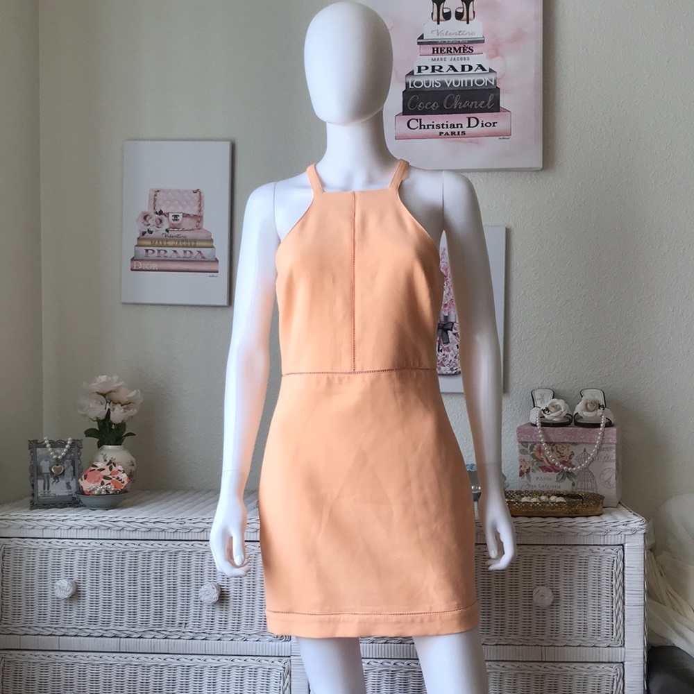 Elizabeth and James Peach Mini Dress